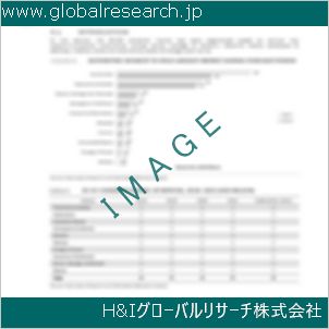 グローバルリサーチ調査資料のイメージ